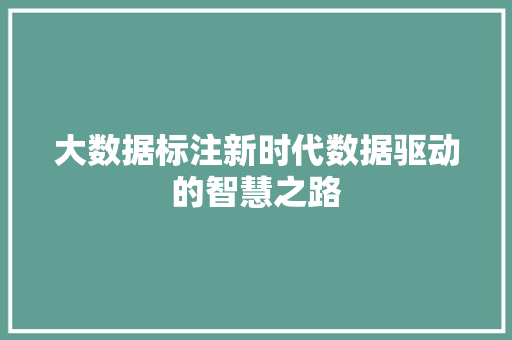 大数据标注新时代数据驱动的智慧之路