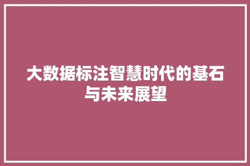 大数据标注智慧时代的基石与未来展望