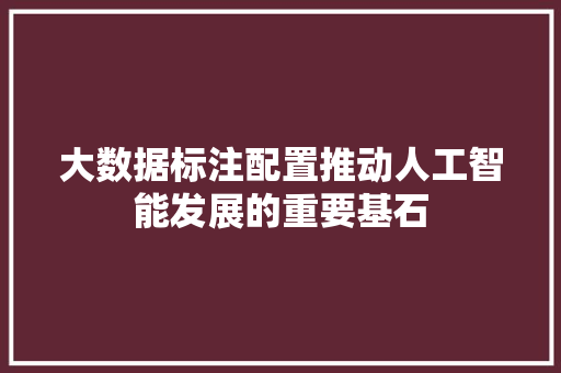 大数据标注配置推动人工智能发展的重要基石