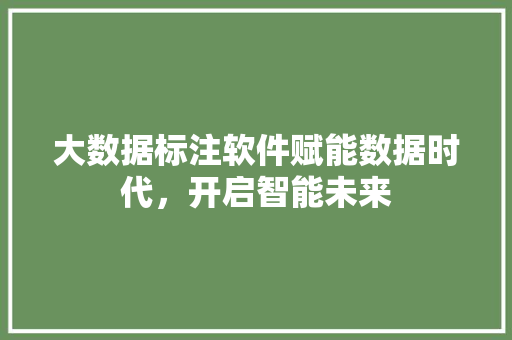 大数据标注软件赋能数据时代，开启智能未来