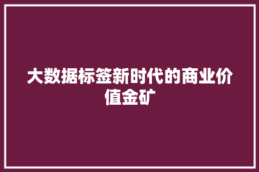 大数据标签新时代的商业价值金矿