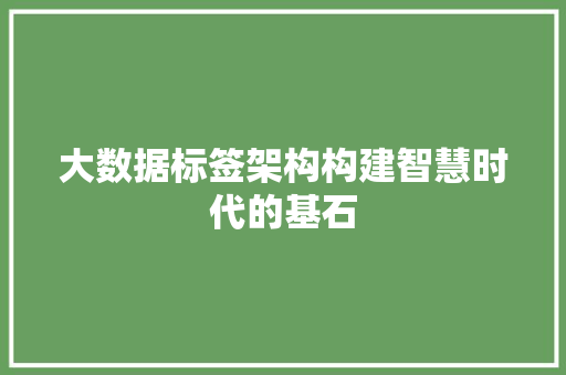 大数据标签架构构建智慧时代的基石