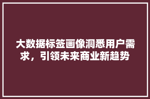 大数据标签画像洞悉用户需求，引领未来商业新趋势
