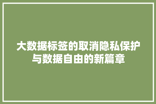 大数据标签的取消隐私保护与数据自由的新篇章