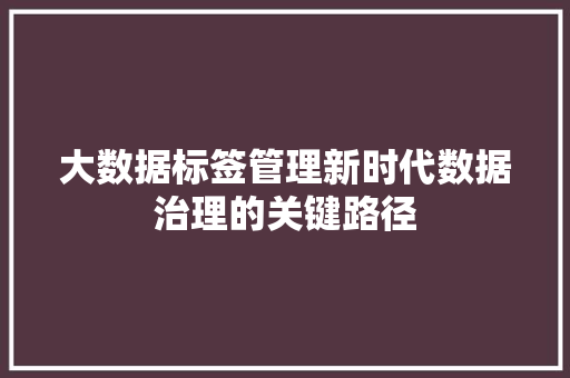 大数据标签管理新时代数据治理的关键路径