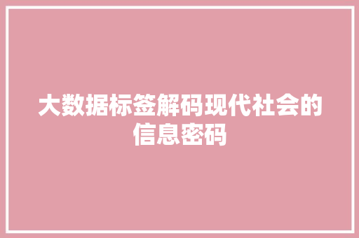 大数据标签解码现代社会的信息密码