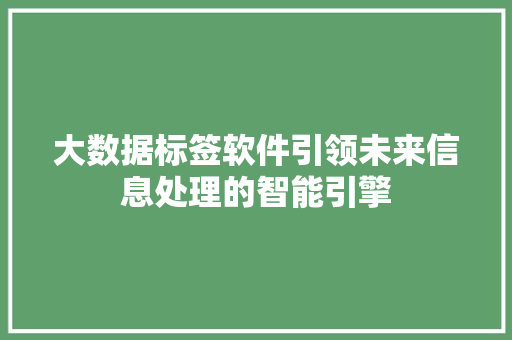 大数据标签软件引领未来信息处理的智能引擎