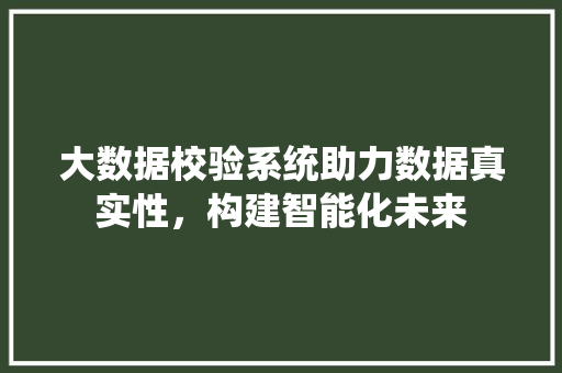 大数据校验系统助力数据真实性，构建智能化未来 前端技术