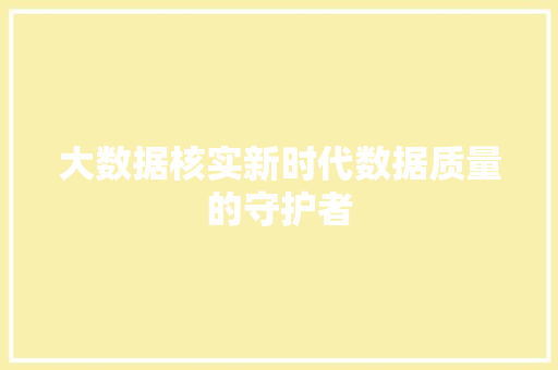 大数据核实新时代数据质量的守护者
