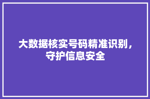 大数据核实号码精准识别，守护信息安全