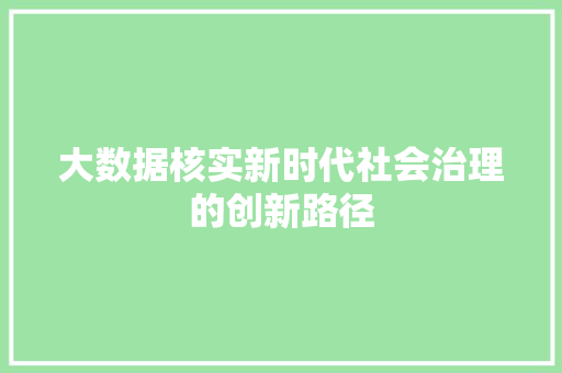 大数据核实新时代社会治理的创新路径
