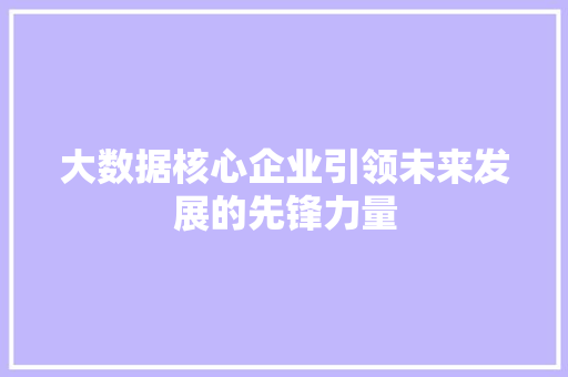 大数据核心企业引领未来发展的先锋力量