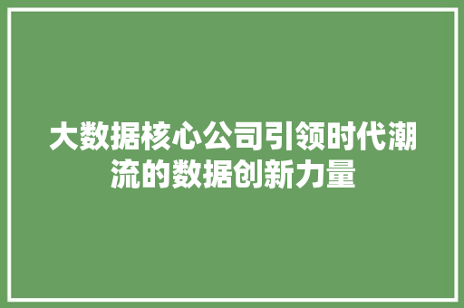 大数据核心公司引领时代潮流的数据创新力量