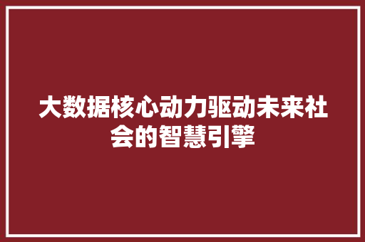 大数据核心动力驱动未来社会的智慧引擎