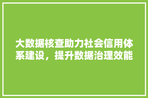 大数据核查助力社会信用体系建设，提升数据治理效能