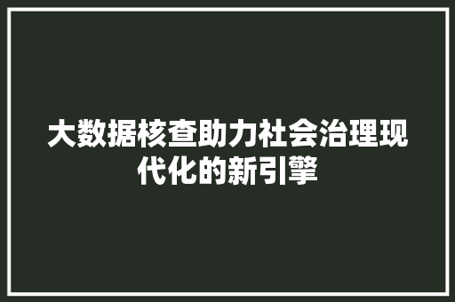 大数据核查助力社会治理现代化的新引擎
