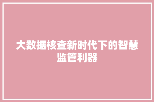 大数据核查新时代下的智慧监管利器