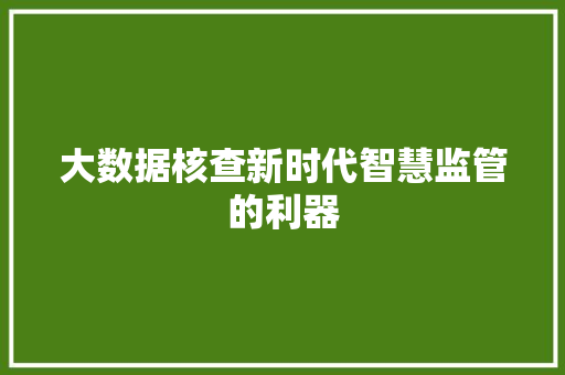 大数据核查新时代智慧监管的利器