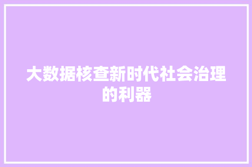 大数据核查新时代社会治理的利器