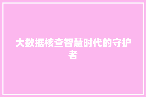 大数据核查智慧时代的守护者