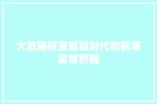 大数据核查智慧时代的精准监督利器
