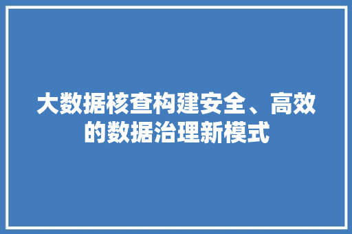 大数据核查构建安全、高效的数据治理新模式