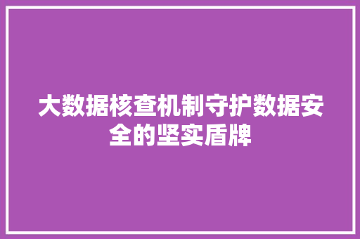 大数据核查机制守护数据安全的坚实盾牌