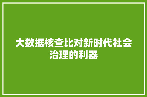 大数据核查比对新时代社会治理的利器