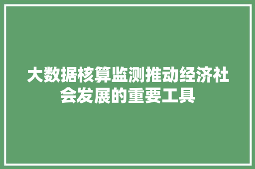 大数据核算监测推动经济社会发展的重要工具