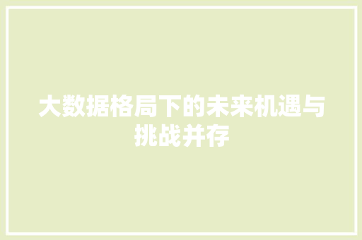大数据格局下的未来机遇与挑战并存