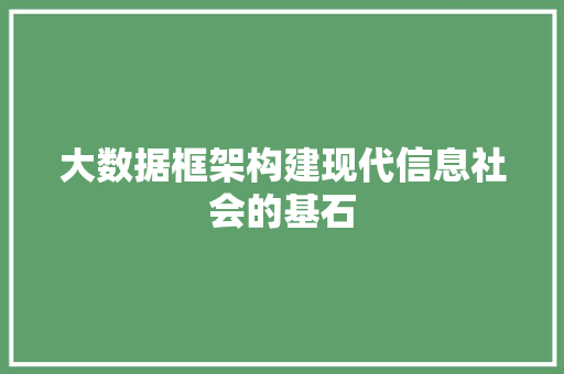 大数据框架构建现代信息社会的基石