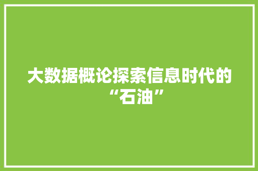 大数据概论探索信息时代的“石油”