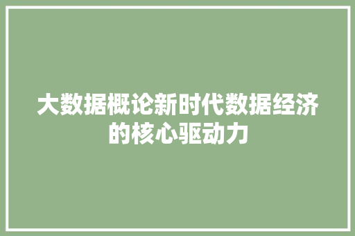 大数据概论新时代数据经济的核心驱动力