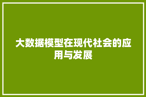 大数据模型在现代社会的应用与发展