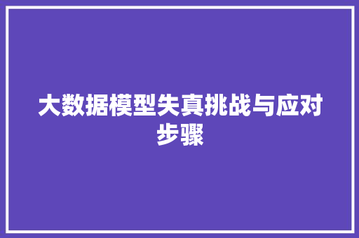 大数据模型失真挑战与应对步骤