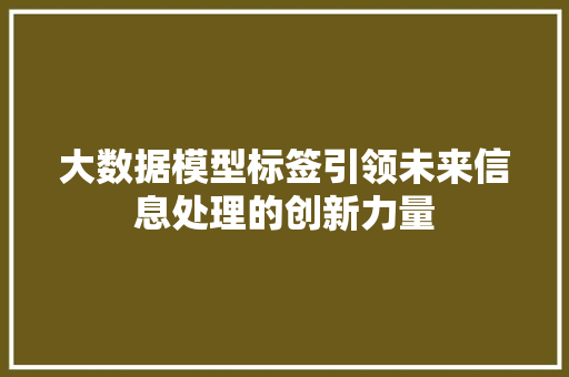 大数据模型标签引领未来信息处理的创新力量