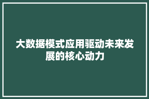 大数据模式应用驱动未来发展的核心动力