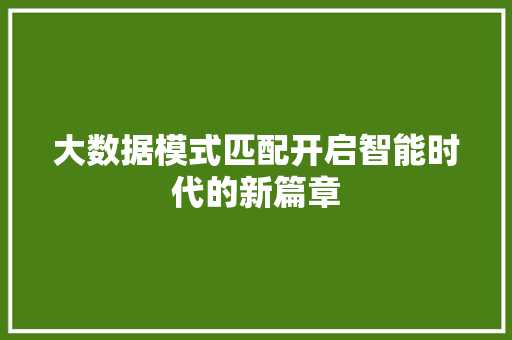 大数据模式匹配开启智能时代的新篇章