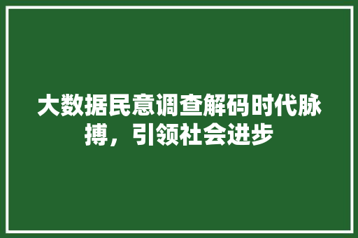 大数据民意调查解码时代脉搏，引领社会进步 MySQL