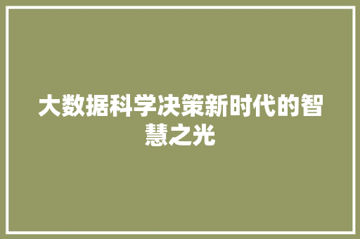 大数据科学决策新时代的智慧之光