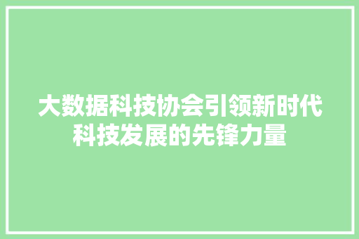 大数据科技协会引领新时代科技发展的先锋力量