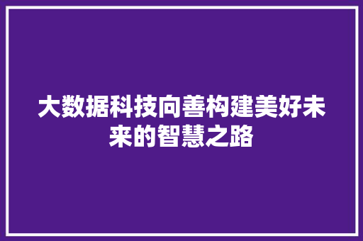 大数据科技向善构建美好未来的智慧之路