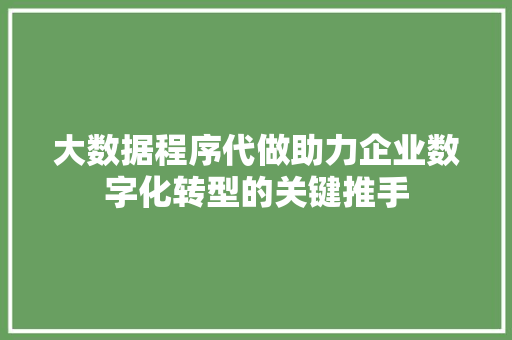 大数据程序代做助力企业数字化转型的关键推手