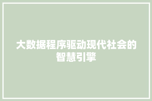 大数据程序驱动现代社会的智慧引擎