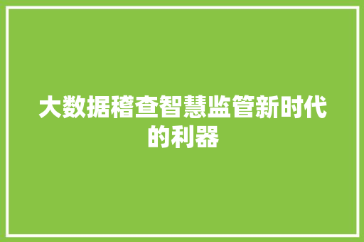 大数据稽查智慧监管新时代的利器