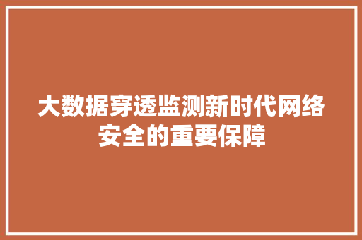 大数据穿透监测新时代网络安全的重要保障
