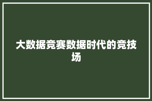 大数据竞赛数据时代的竞技场