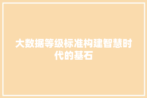 大数据等级标准构建智慧时代的基石