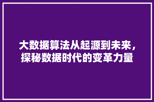 大数据算法从起源到未来，探秘数据时代的变革力量