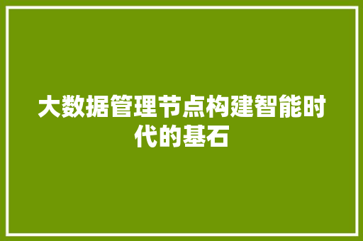 大数据管理节点构建智能时代的基石